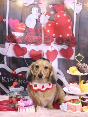 20250219ラテくん